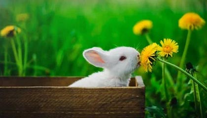 必一运动：动起来的选择，改变从现在开始