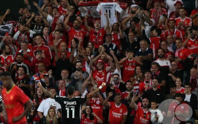 1696319851183059229.jpg 1696319851183059229.jpg